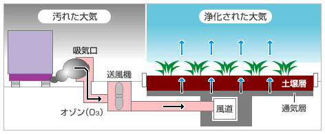 土壌による大気浄化システムの概要