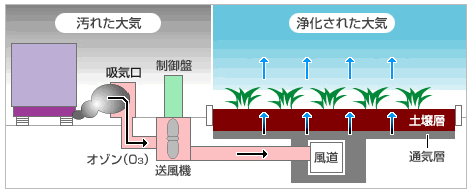 土壌による大気浄化システムの概要