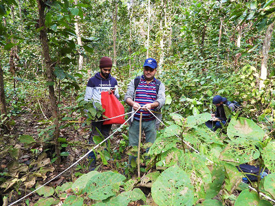 Forest Action Nepal