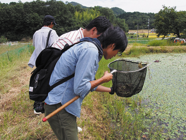 写真：兵庫県立農業高等学校の活動