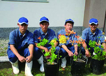 写真：大分県立玖珠美山高等学校の活動