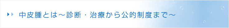 中皮腫とは～診断・治療から公的制度まで～