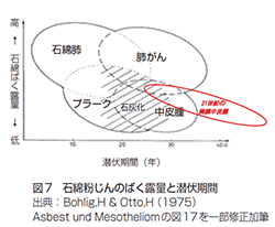 石綿粉じんのばく露量と潜伏期間 　（Bohlig 1975を改変）