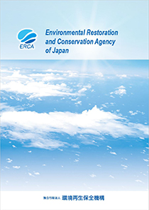 Pamphlet cover