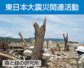 東日本大震災関連活動　森と緑の研究所