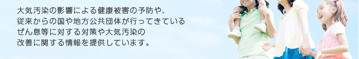 大気汚染の影響による健康被害の予防や、従来からの国や地方公共団体が行ってきているぜん息等に対する対策や大気汚染の改善に関する情報を提供しています。