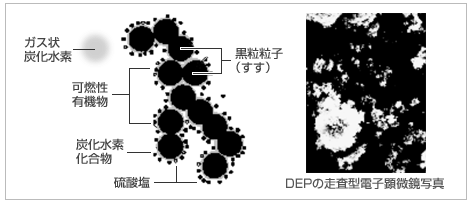 ディーゼル排気粒子の顕微鏡写真