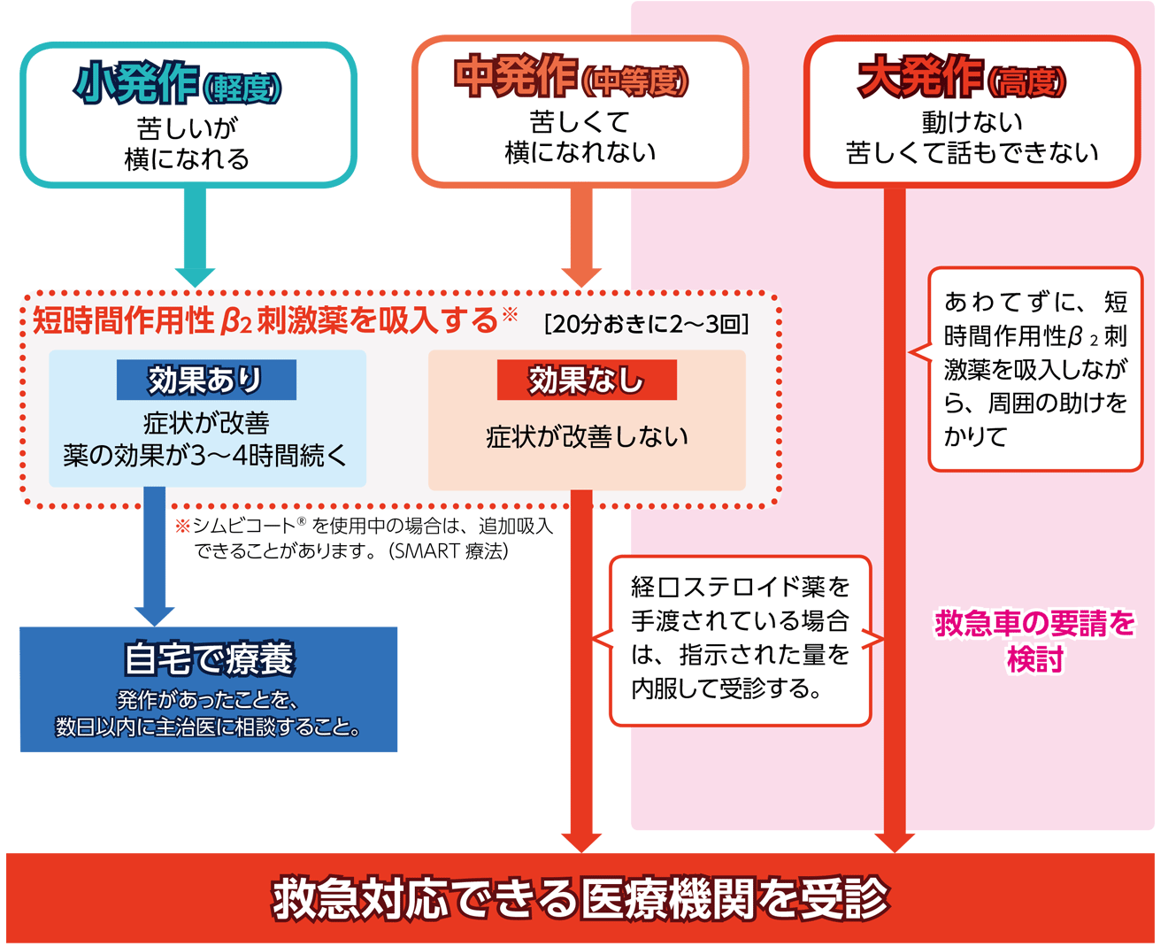 発作が起こったら 成人ぜん息 ぜんそく 喘息 ぜん息基礎知識 ぜん息などの情報館 大気環境 ぜん息などの情報館 独立行政法人環境再生保全機構