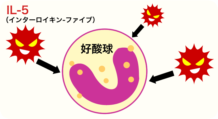 図 抗IL-5抗体投与前の状態では、IL-5が好酸球と結合