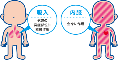 吸入は気道の炎症部位に直接作用し、内服は全身に作用します