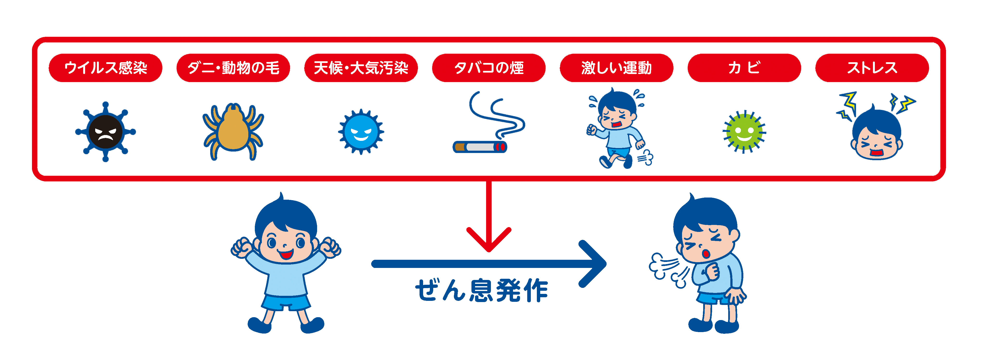 タバコの煙や、ダニなどのアレルゲン（アレルギーの原因物質）、風邪や天候などいろいろなことが刺激になって、ぜん息発作が起こってしまいます。