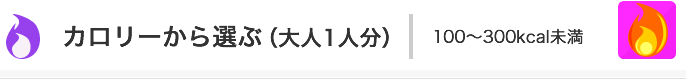 カロリーから選ぶ（大人1人分）メニュー一覧：100～300kcal未満