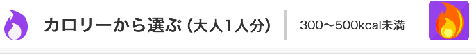 カロリーから選ぶ（大人1人分）メニュー一覧：300～500kcal未満