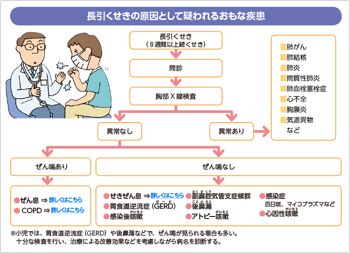 長引くせきの原因として疑われるおもな疾患　長引くせき（8週間以上続くせき）→問診→胸部X線検査→異常ありの場合は、肺がん、肺結核、肺炎、間質性肺炎、肺血栓塞栓症、心不全、胸膜炎、気道異物など　異常なしでぜん鳴がある場合は、ぜん息やCOPDの疑いが、異常なしでぜん鳴がない場合は、せきぜん息、胃食道逆流症（GERD）、感染後咳嗽、副鼻腔気管支症候群、後鼻漏、アトピー咳嗽、百日咳やマイコプラズマなどの感染症、心因性咳嗽などが疑われます。※小児では、胃食道逆流症（GERD）や後鼻漏などで、ぜん鳴が見られる場合も多い。十分な検査を行い、治療による改善効果などを考慮しながら病名を診断する。
    