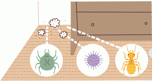 ダニ、カビは部屋の隅やタンスの裏に集まるホコリの中に生息します。そのため、カビをエサとする昆虫も集まりやすくなります。