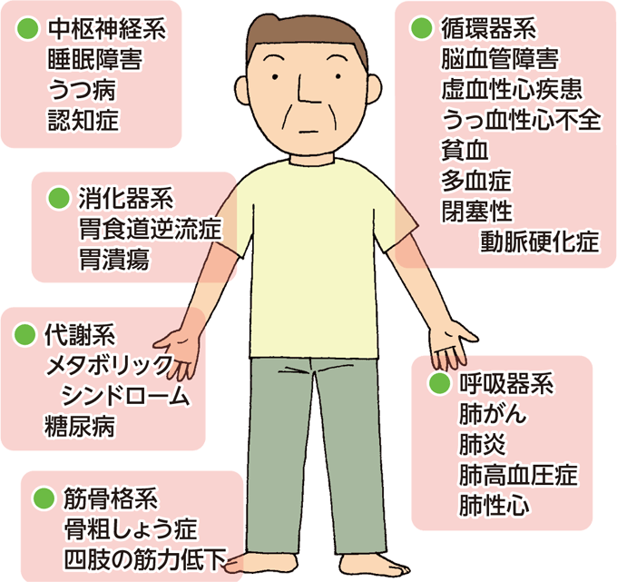 ●中枢神経系（睡眠障害、うつ病、認知症）●消化器系（胃食道逆流症、胃潰瘍）●代謝系（メタボリックシンドローム、糖尿病）●筋骨格系（骨粗しょう症、四肢の筋力低下）●循環器系（脳血管障害、虚血性心疾患、うっ血性心不全、貧血、多血症、閉塞性動脈硬化症）●呼吸器系（肺がん、肺炎、肺高血圧症、肺性心）