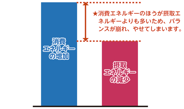 図 やせ型の方が多い理由。消費エネルギーの方が摂取エネルギーよりも多い場合、バランスが崩れやせてしまう