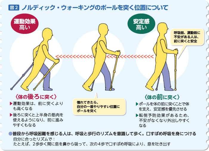 図2：ノルディック・ウォーキングでポールを突く位置についての説明