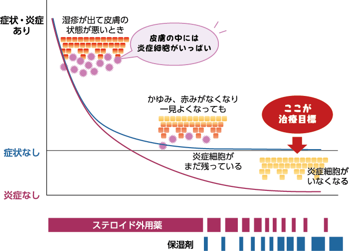 湿疹が出て皮膚の状態が悪いときは、目に見えない皮膚の中にも、炎症細胞がたくさん存在します。ステロイド外用薬を使った治療を続けていくと、皮膚のかゆみや赤みがなくなり、一見よくなったように見えます。しかし、皮膚の中には炎症細胞がまだ残っている状態です。ここで治療をやめずに、アトピー性皮膚炎の治療目標である皮膚の中の炎症細胞が完全にいなくなる状態になるまで、ステロイド外用薬と保湿剤による治療を根気よく続けることが大切です。