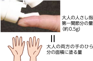 大人の人さし指第一関節分の量（約0.5グラム）。大人の両方の手のひら分の面積に塗る量と等しい。
