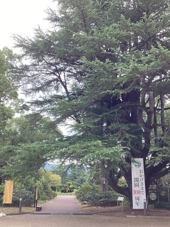 きょうと☆いきものフェス 2024の様子