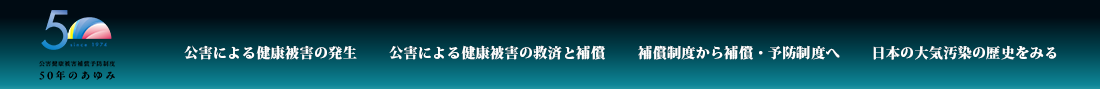 ナビ仮