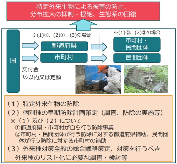 （１）特定外来生物の防除、（２）個別種の早期防除計画策定、（３）外来種対策全般の総合戦略策定、対策を行うべき外来種のリスト化に必要な調査・検討等
