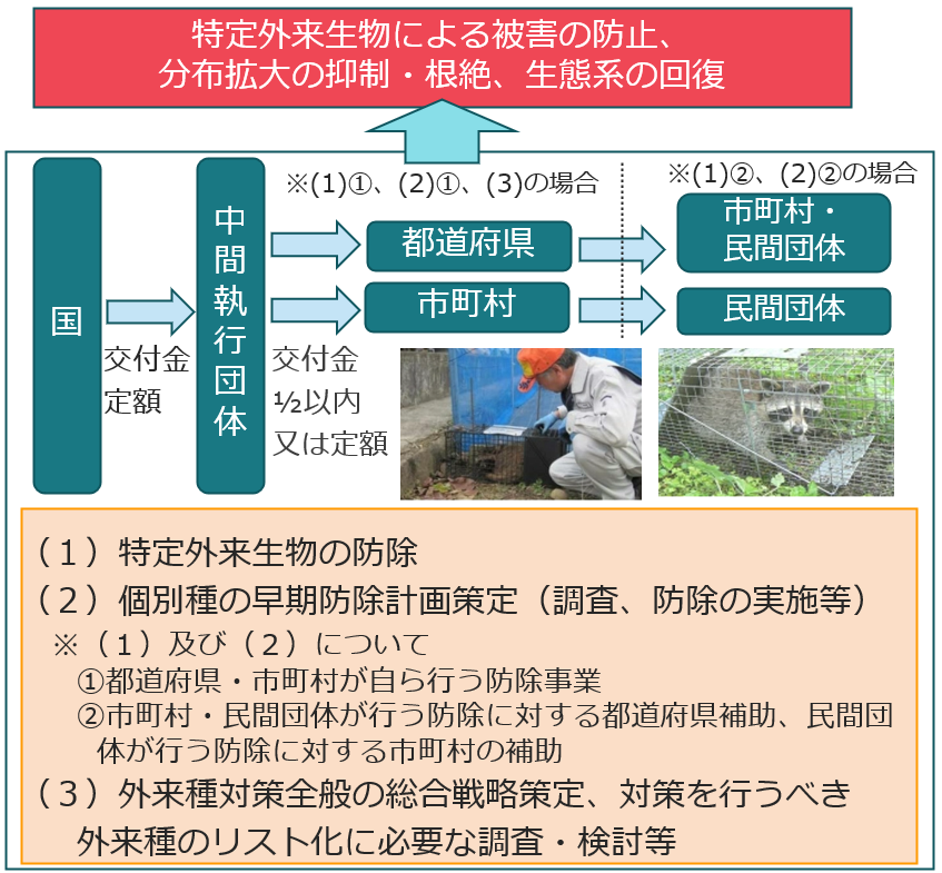 （１）特定外来生物の防除、（２）個別種の早期防除計画策定、（３）外来種対策全般の総合戦略策定、対策を行うべき外来種のリスト化に必要な調査・検討等