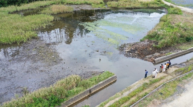 持続可能な環境共生林業を実現する自伐型林業推進協会の写真