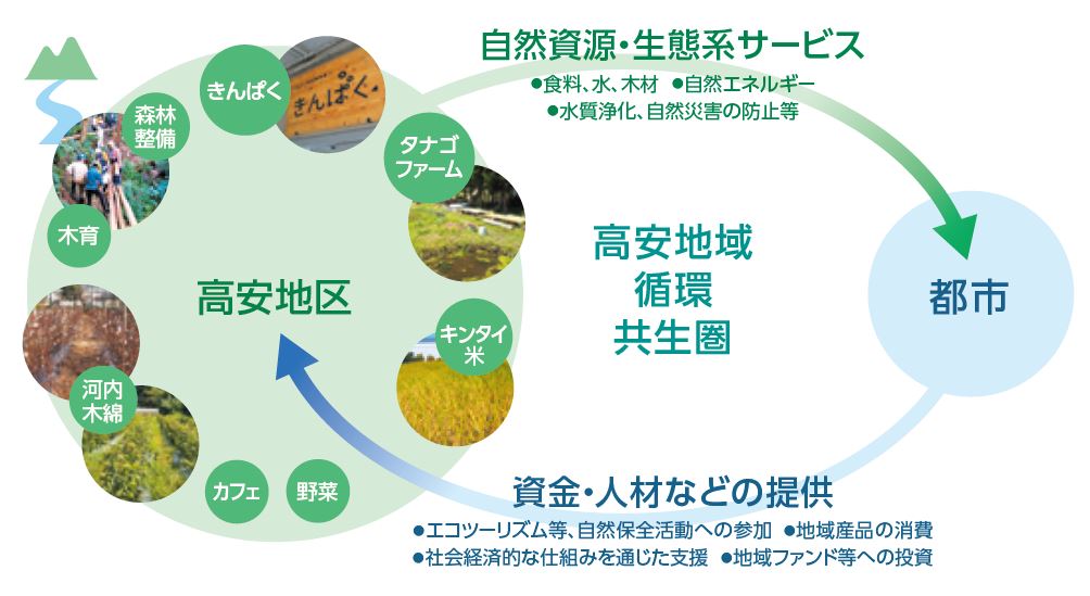 都市と農山村が支えあう、地域循環共生圏＊の創生への説明図