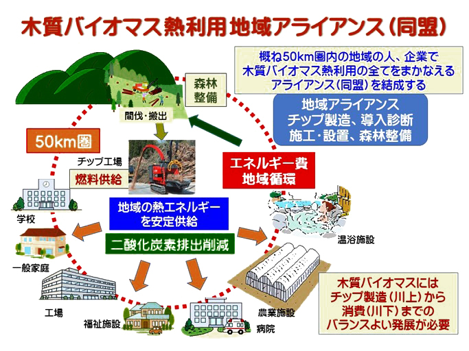 木質バイオマス熱利用地域アライアンスの仕組みを表した概念図です。地域の森林から木材を間伐・搬出して燃料となるチップを製造。木質バイオマスボイラーでつくられた熱エネルギーを地域の一般家庭や学校、福祉施設、農業施設などに供給。そのお金の一部で森林を整備します。こうしてエネルギー費を地域循環させるとともに、二酸化炭素の排出も削減できる仕組みです。