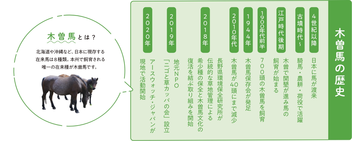 木曽馬の歴史木曽馬とは？北海道や沖縄など、日本に現存する在来場は8種類。本州で飼育される唯一の在来種が木曽馬です。