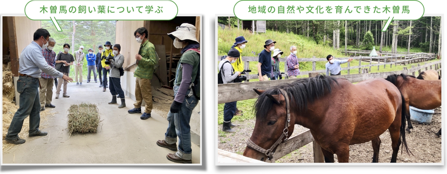 木曽馬の飼い方について学ぶ地域の自然や文化を育んできた木曽馬