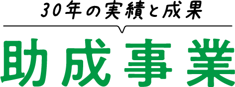 ３０年の実績と成果　助成事業