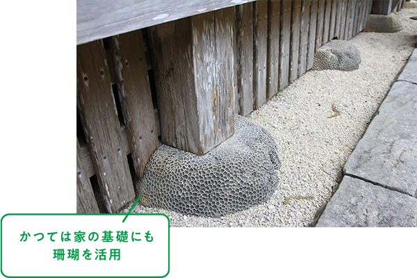 かつては家の基礎にも珊瑚を活用