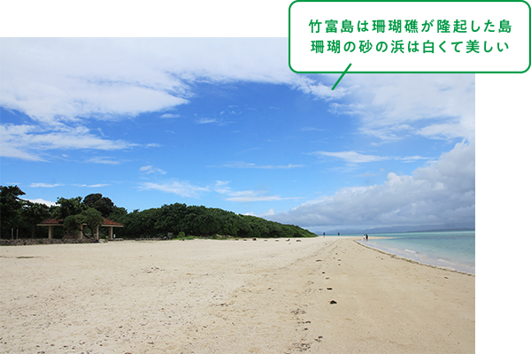 竹富島は珊瑚礁が隆起した島 珊瑚の砂の浜は白くて美しい