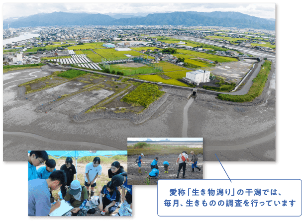 愛称「生き物潟り」の干潟では、毎月、生きものの調査を行っています