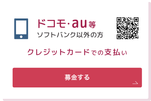 ドコモ・au等ソフトバンク以外の方　クレジットカードでの支払い　募金する