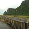 Wetlands International Japan