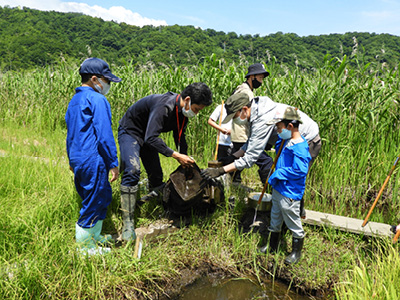 中池見ねっと