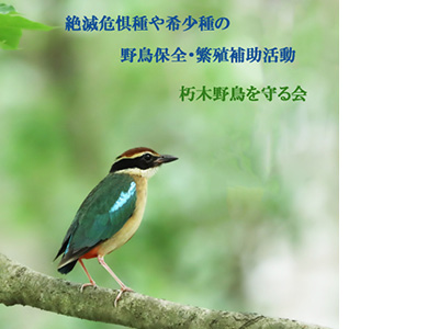 朽木野鳥を守る会