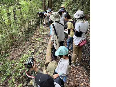 持続可能な環境共生林業を実現する自伐型林業推進協会