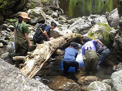 大台町生物多様性協議会