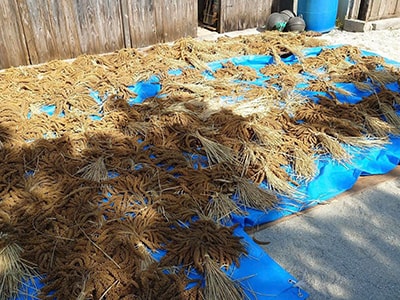 竹富島地域自然資産財団