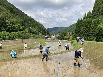 つむぎ