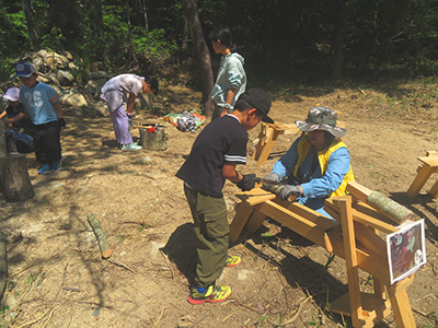 特定非営利活動法人 樹木研究会こうべ