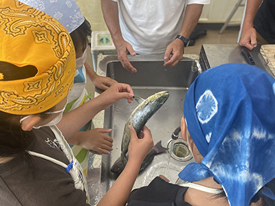 特定非営利活動法人牟岐キャリアサポート