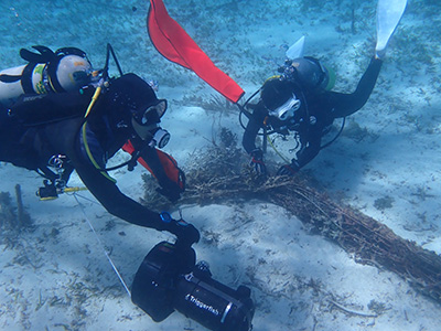 沖縄沿海保全同友会