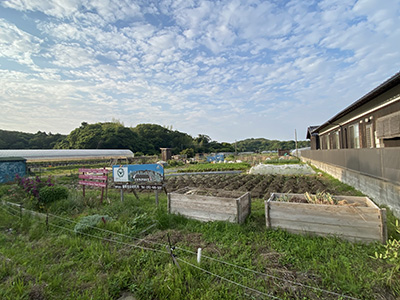 循環生活研究所