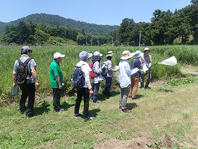 日本チョウ類保全協会